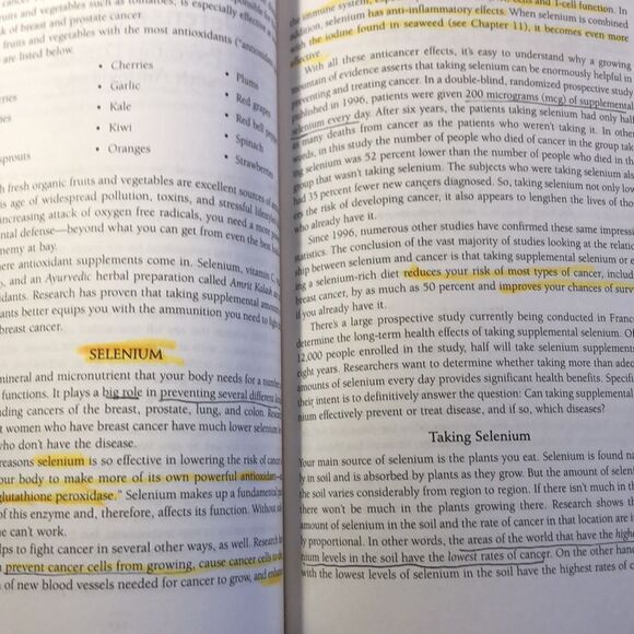 Waking the Warrior Godess  Dr Christine Horner paperback Breast Cancer USED BOOK - Picture 10 of 11